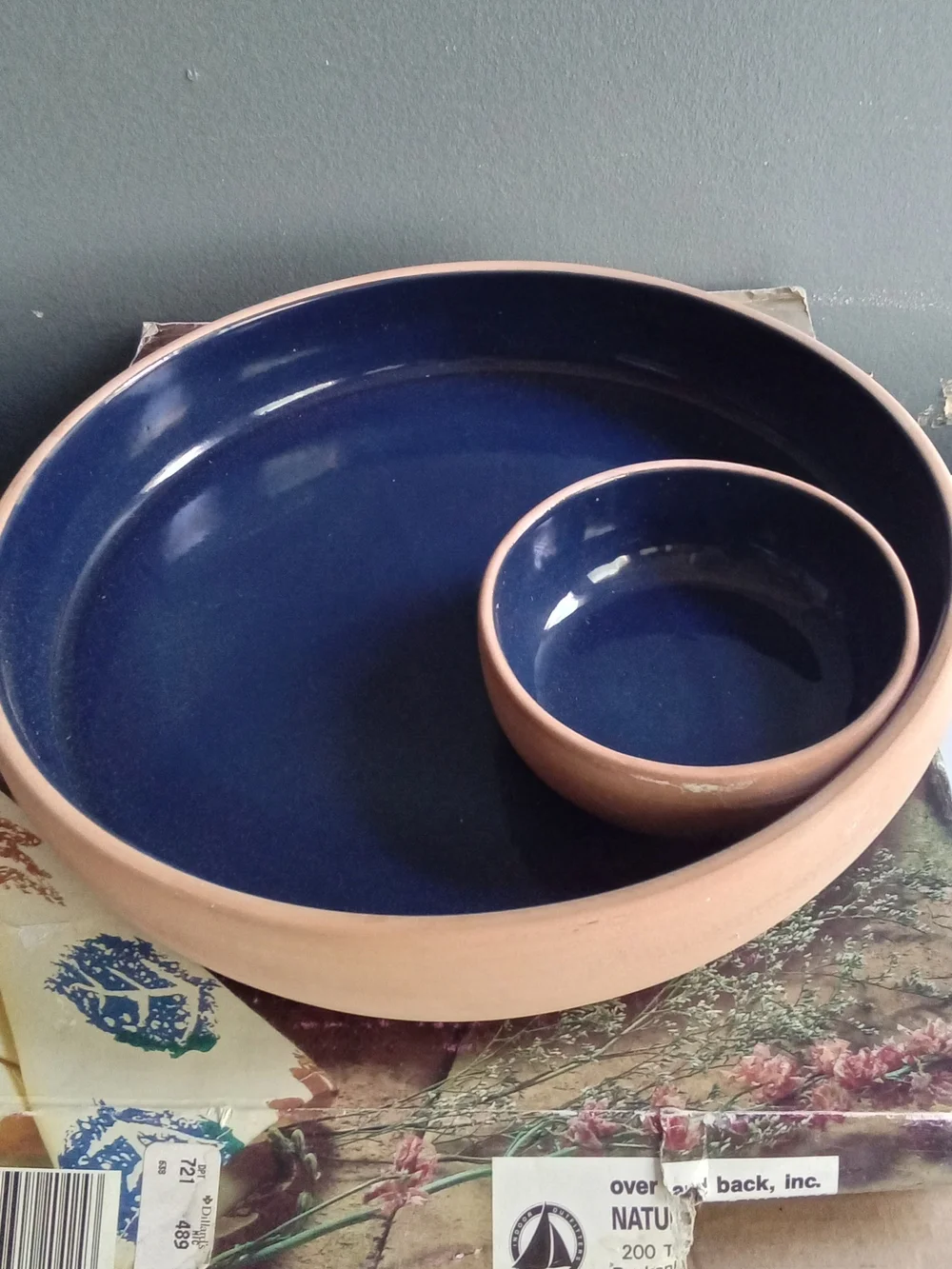 Over and Back Natural Elements Terracotta Cobalt Blue Chip‎ and Dip Set Italy